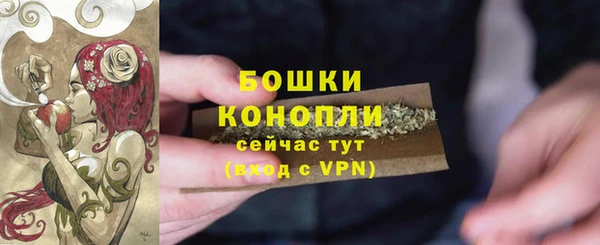 стаф Лихославль