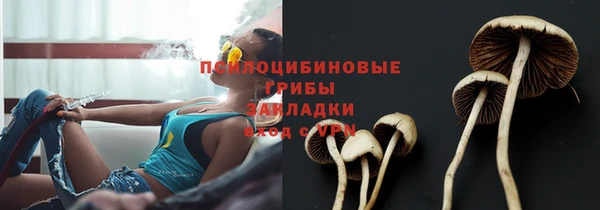 стаф Лихославль