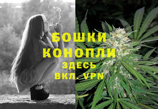 стаф Лихославль
