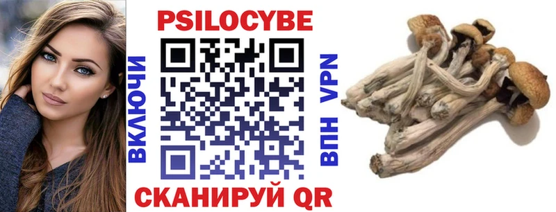 mega вход  Новоалександровск  Галлюциногенные грибы Psilocybine cubensis  где купить наркоту 
