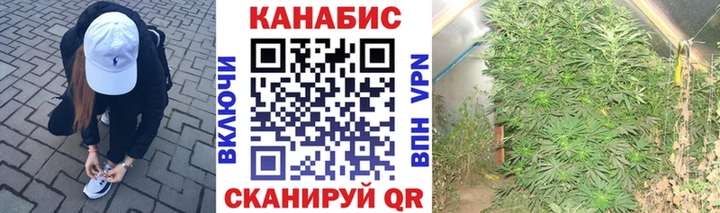хочу наркоту  Новоалександровск  Бошки Шишки Amnesia 